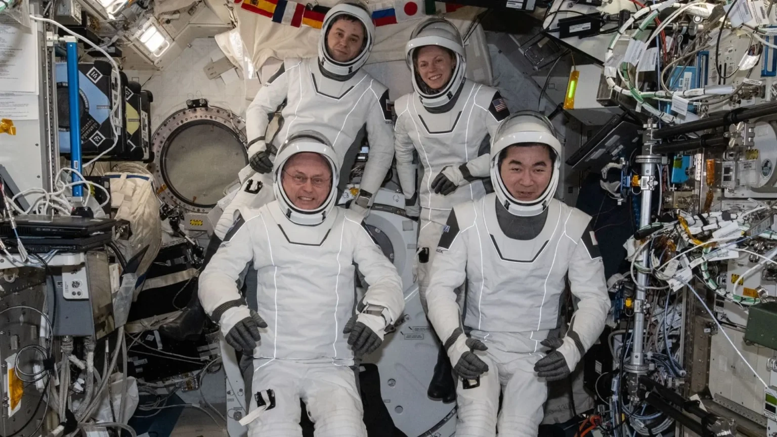 NASA's Crew-11 astronauts.