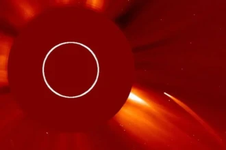 Comet C/2026 A1 MAPS