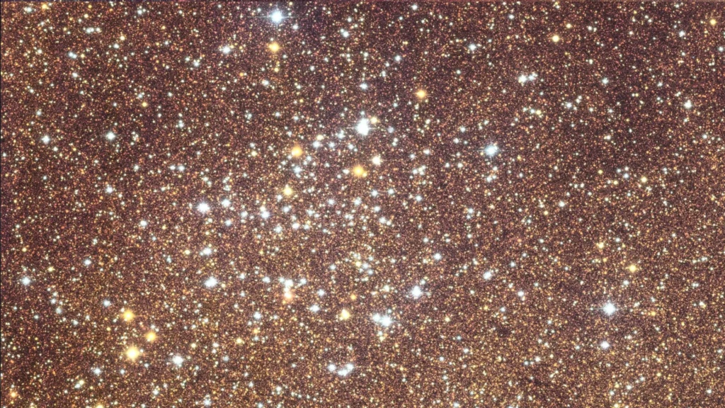 The galactic bulge by Euclid telescope.